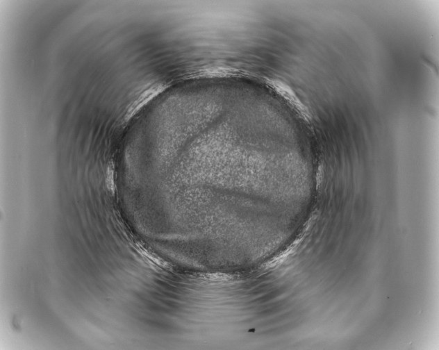 X0000094961209200712201152