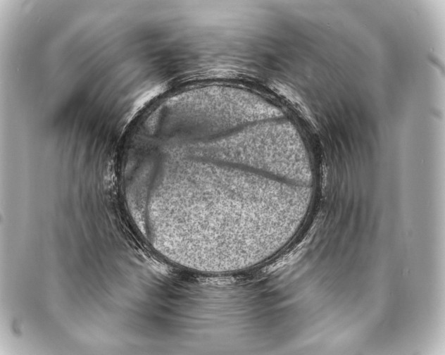 X0000094961210200712201152