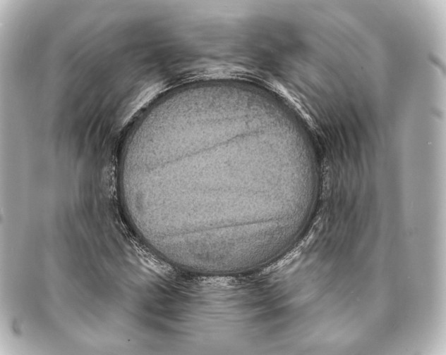 X0000094961211200712201152