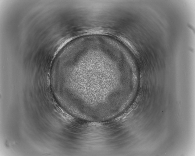 X0000094961212200712201152