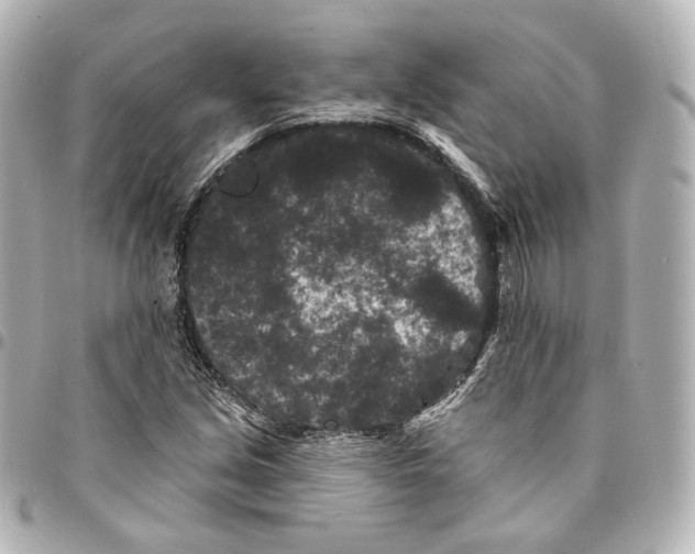 X0000094961213200712201152