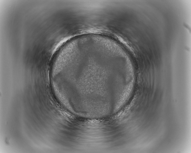 X0000094961214200712201152