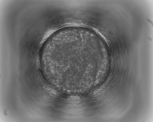 X0000094961215200712201152