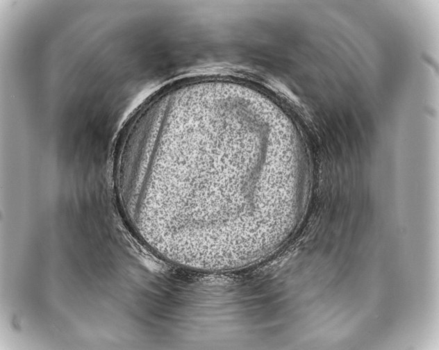 X0000094961216200712201152