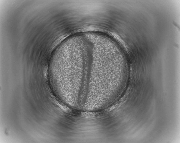 X0000094961217200712201152