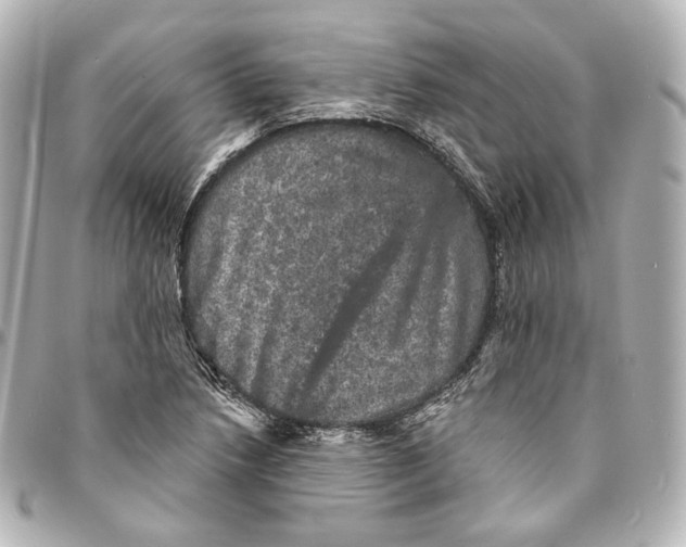 X0000094961218200712201152