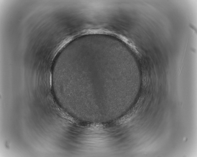 X0000094961221200712201152