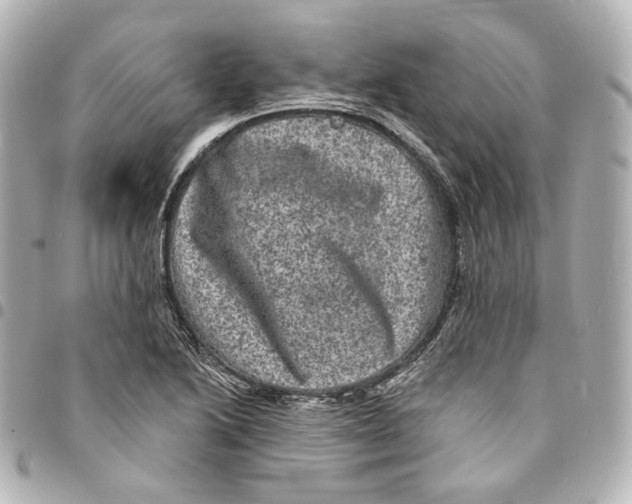 X0000094961222200712201153