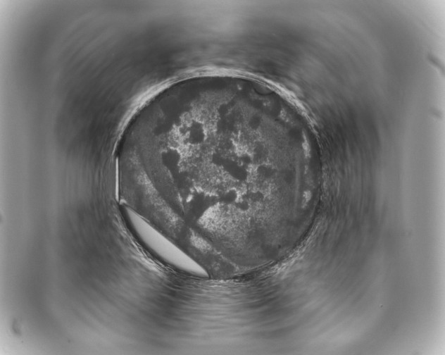 X0000094961223200712201153