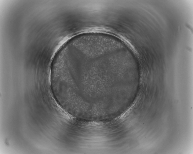 X0000094961224200712201153