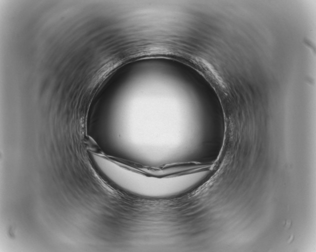 X0000094961225200712201153