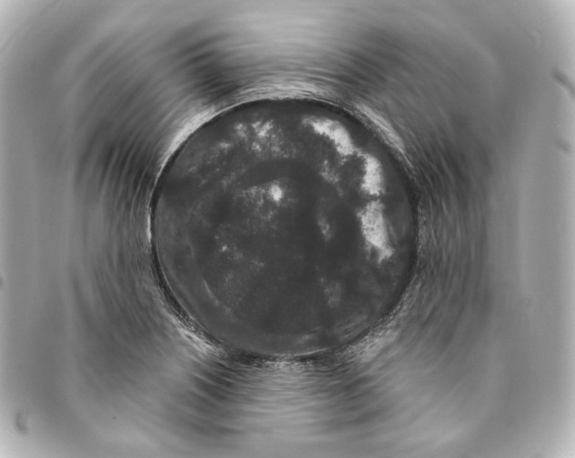 X0000094961226200712201153