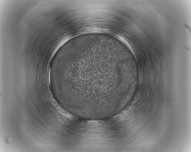 X0000094961227200712201153