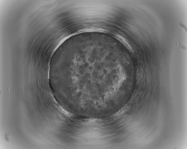 X0000094961228200712201153