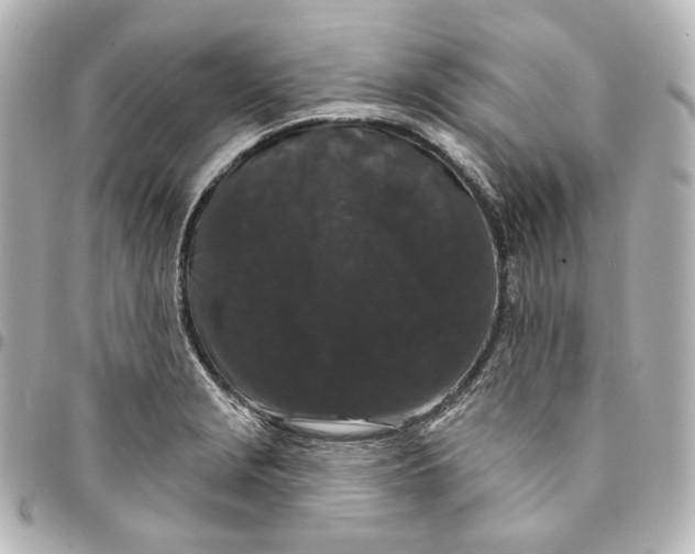 X0000094961229200712201153