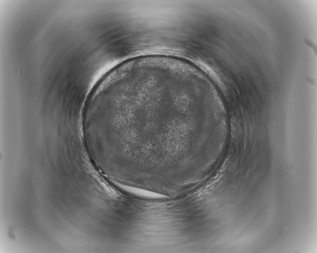 X0000094961230200712201153