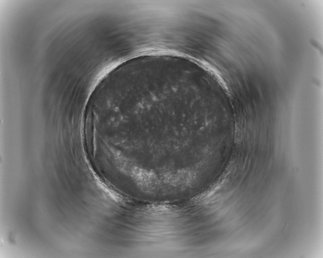 X0000094961231200712201153