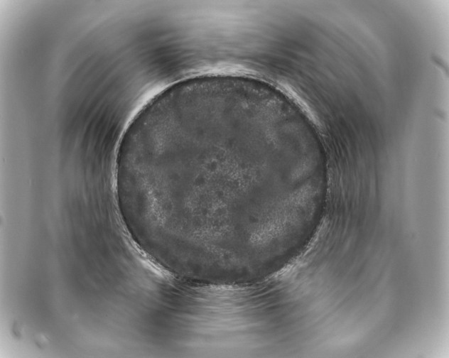 X0000094961232200712201153