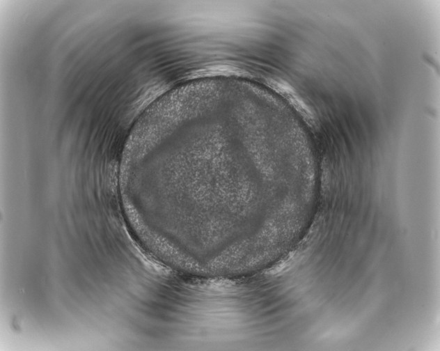 X0000094961233200712201153