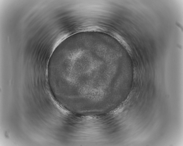 X0000094961234200712201153