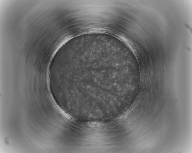 X0000094961235200712201153