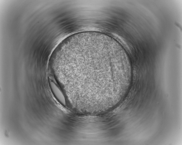 X0000094961236200712201153