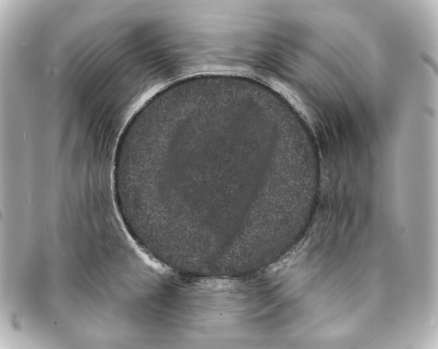 X0000094961237200712201153