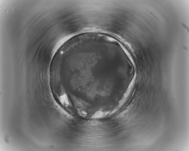 X0000094961239200712201153