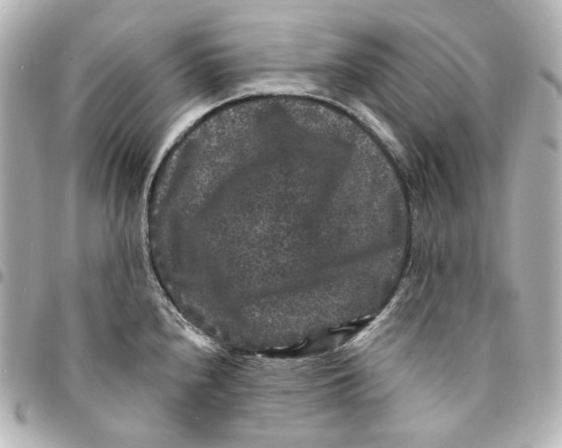 X0000094961240200712201153