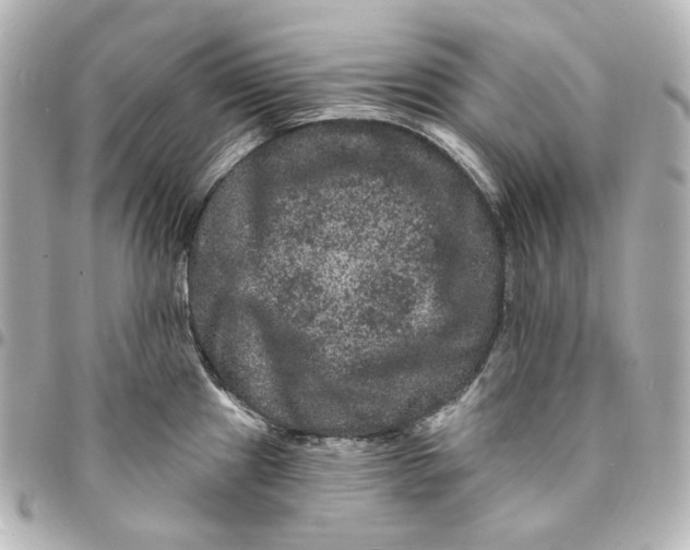 X0000094961241200712201153