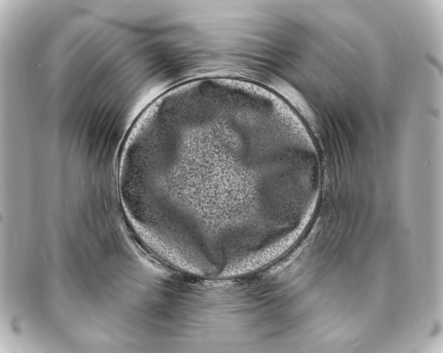 X0000094961242200712201153