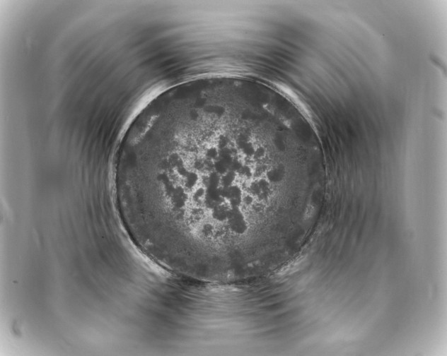 X0000094961243200712201153