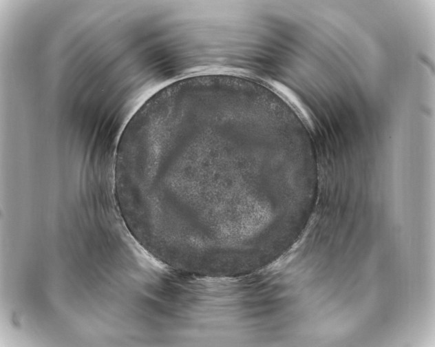 X0000094961244200712201153