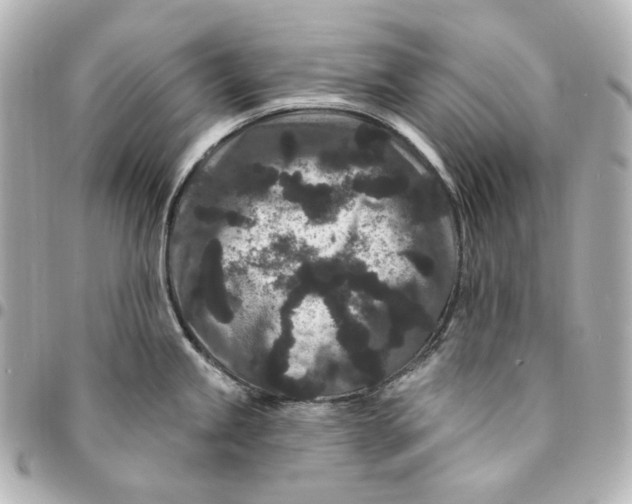 X0000094961245200712201153