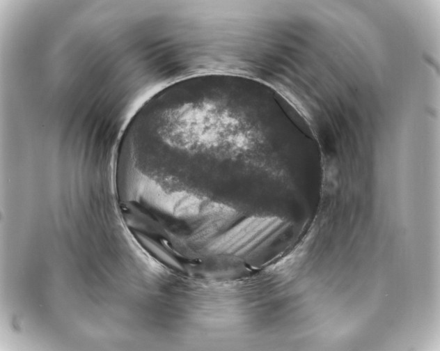 X0000094961246200712201153