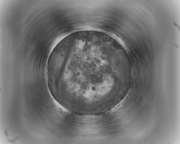 X0000094961247200712201153