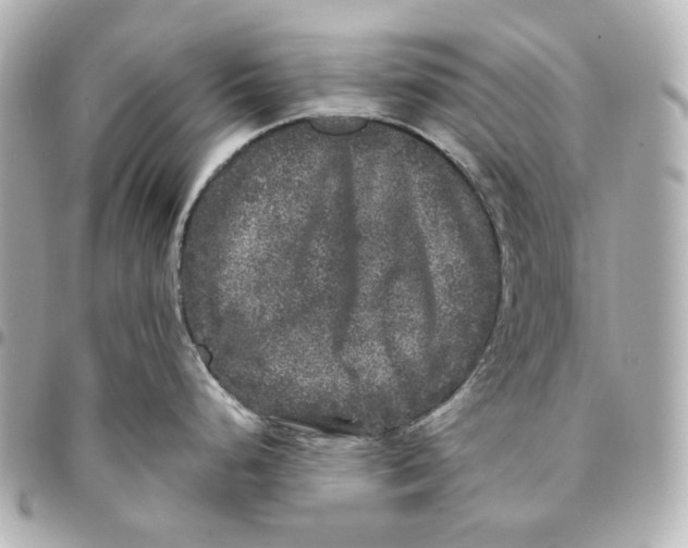 X0000094961248200712201153