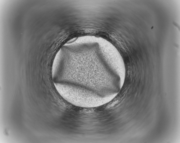 X0000094961249200712201152