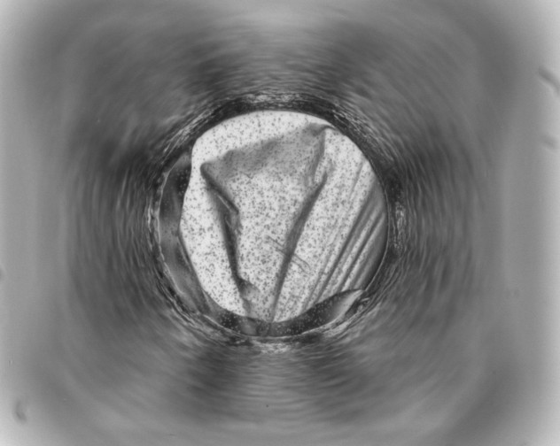 X0000094961250200712201152