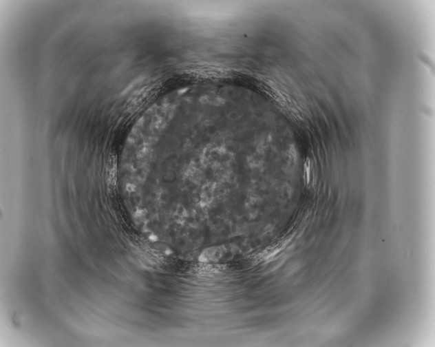 X0000094961251200712201152