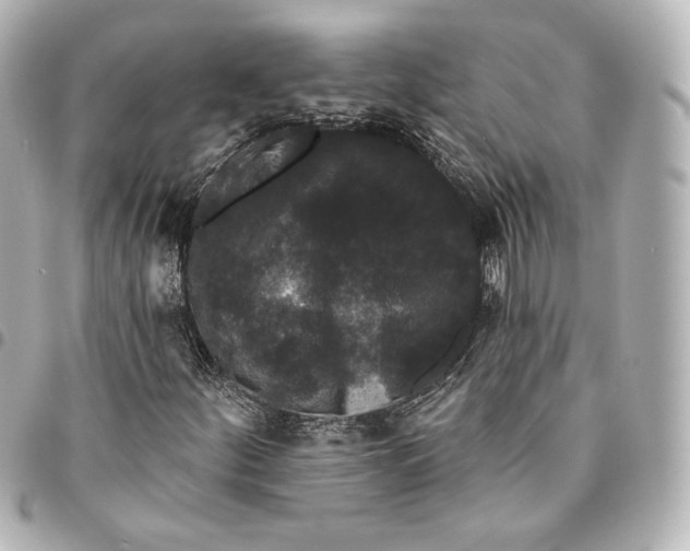 X0000094961252200712201152