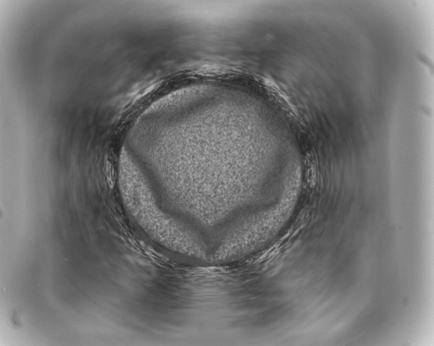 X0000094961253200712201152