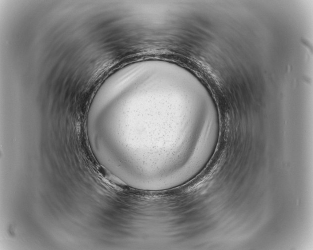 X0000094961257200712201152