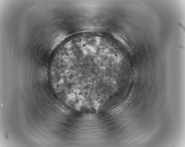 X0000094961259200712201152