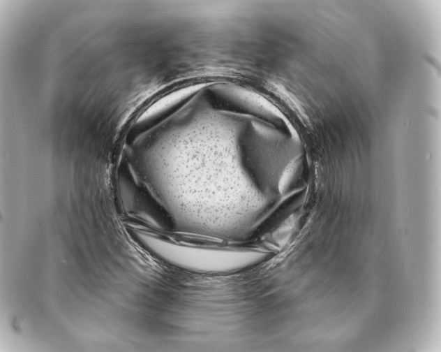 X0000094961260200712201152