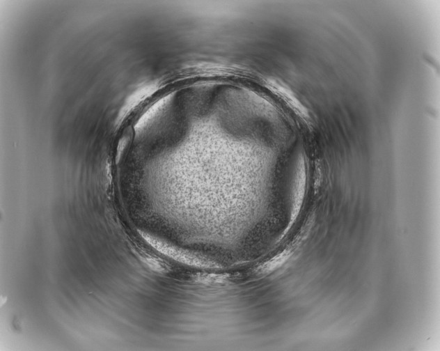 X0000094961261200712201152