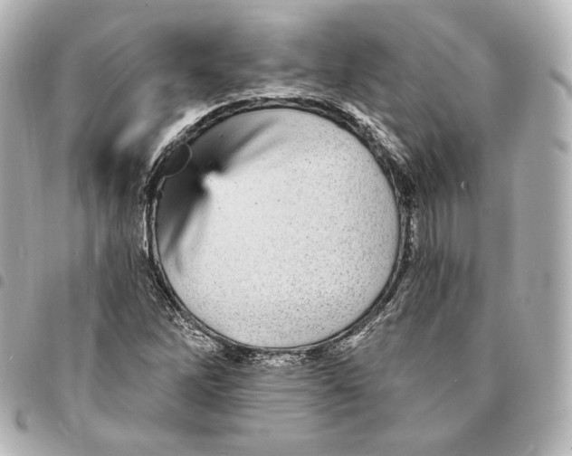 X0000094961262200712201152