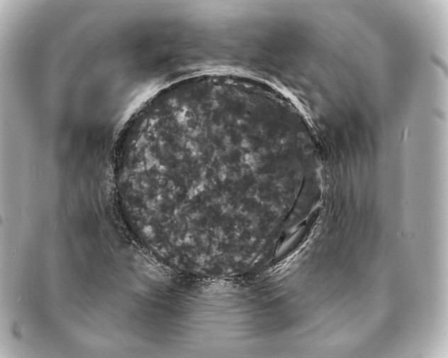 X0000094961263200712201152