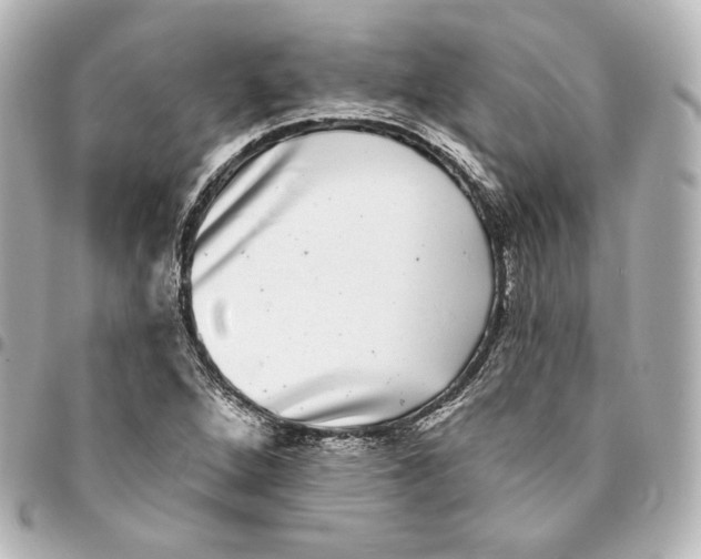 X0000094961264200712201152