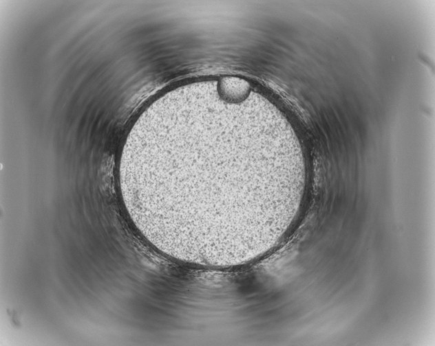 X0000094961265200712201152